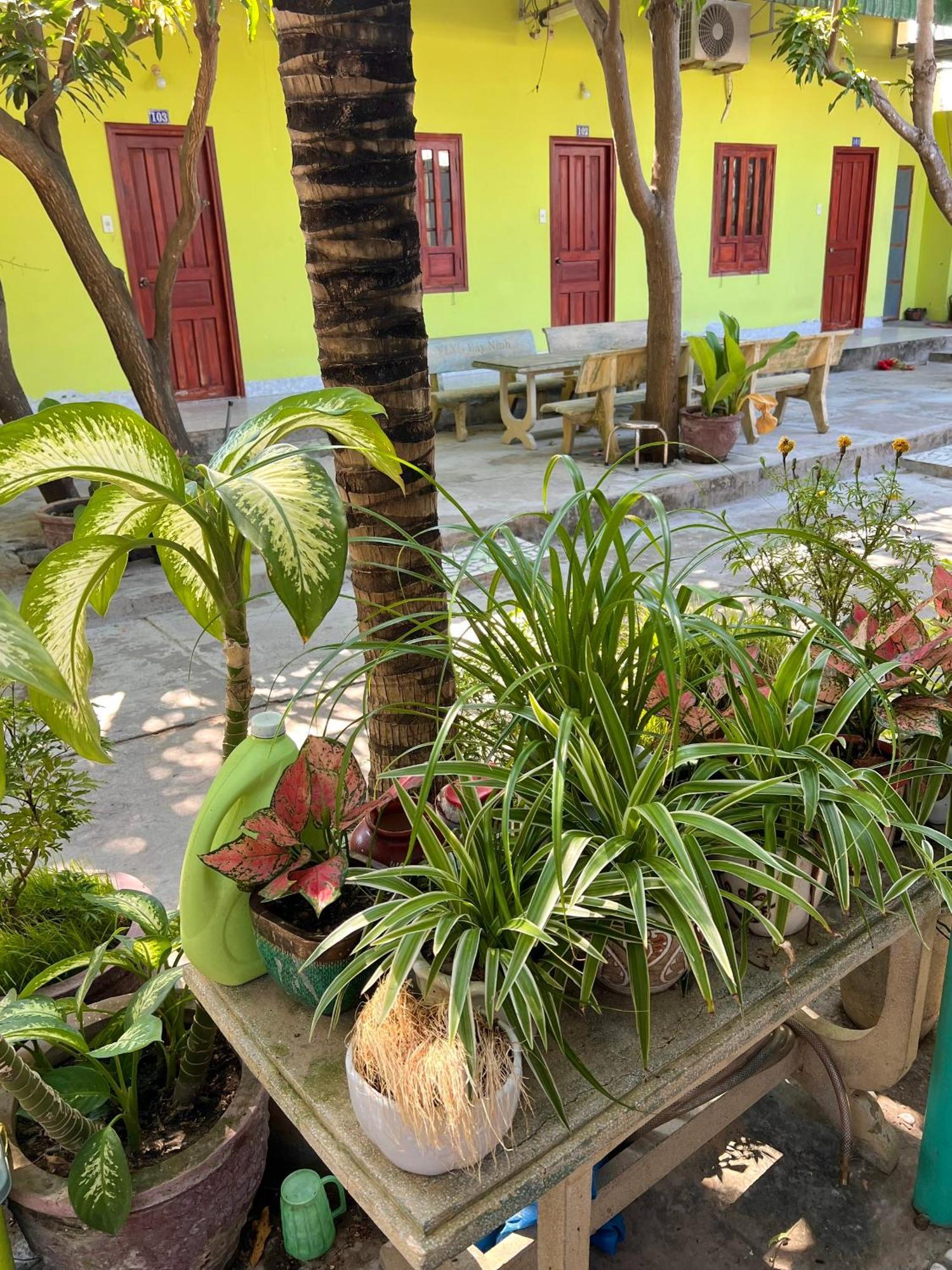 Duc Thao Guest House Μούι Νε Εξωτερικό φωτογραφία