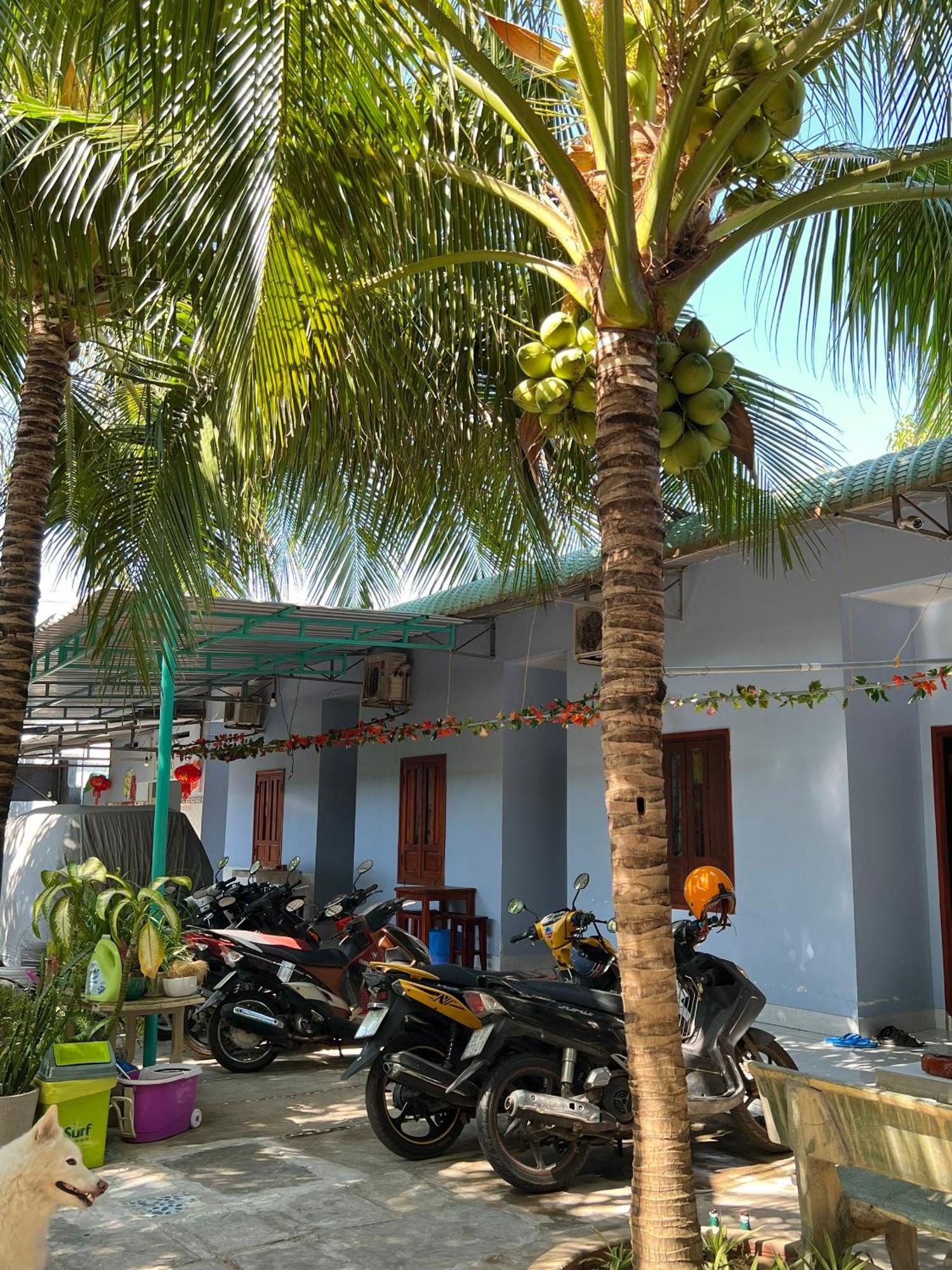 Duc Thao Guest House Μούι Νε Εξωτερικό φωτογραφία