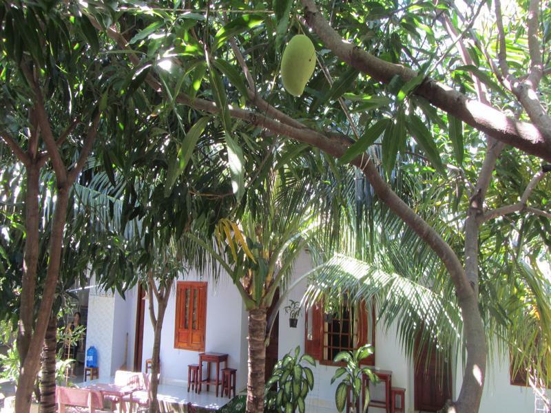 Duc Thao Guest House Μούι Νε Εξωτερικό φωτογραφία