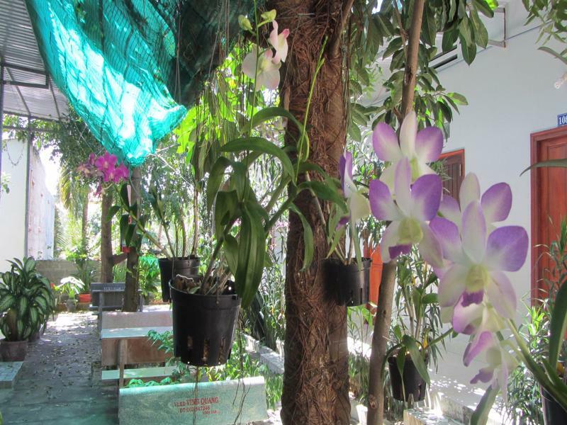 Duc Thao Guest House Μούι Νε Εξωτερικό φωτογραφία