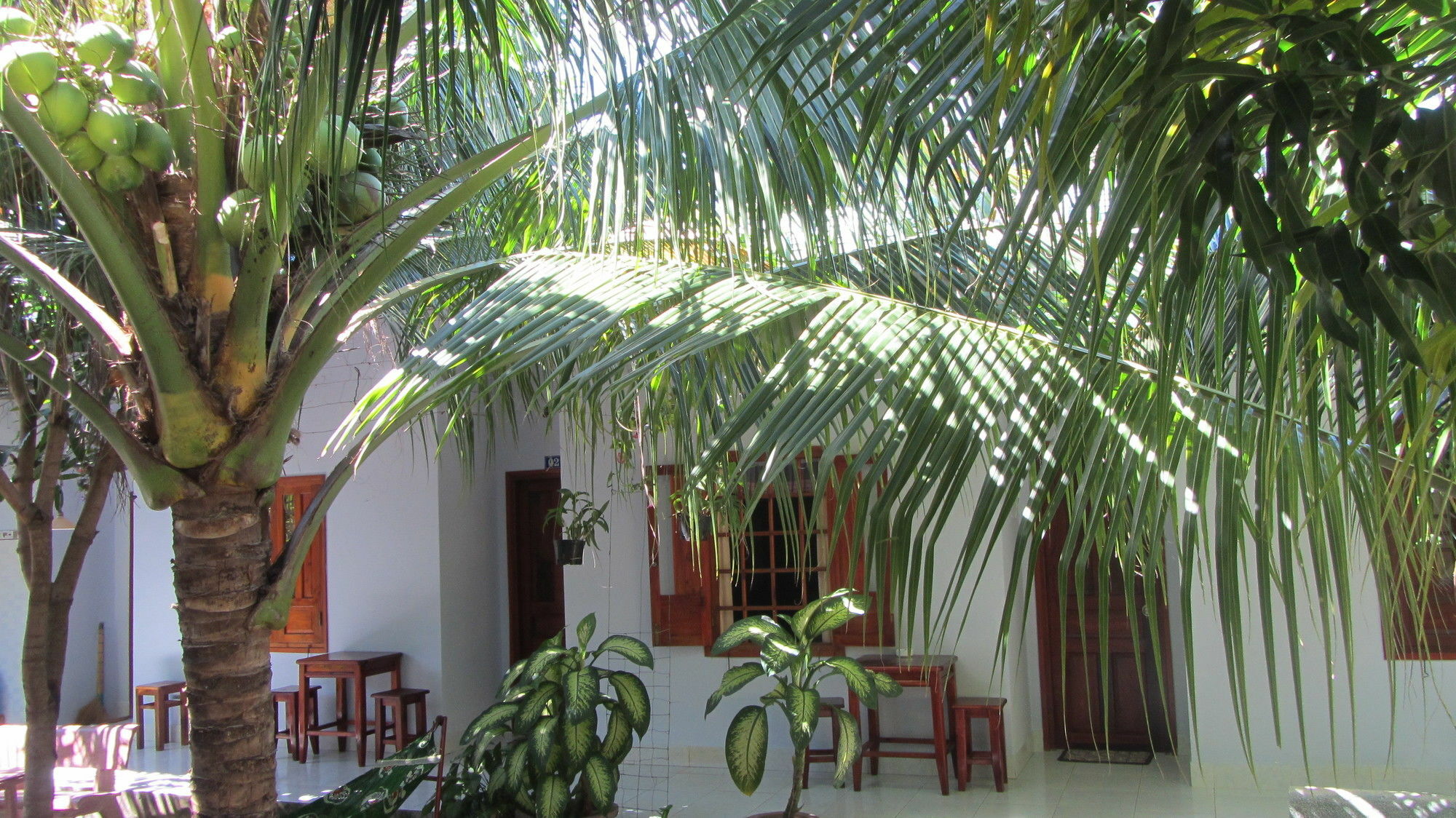 Duc Thao Guest House Μούι Νε Εξωτερικό φωτογραφία