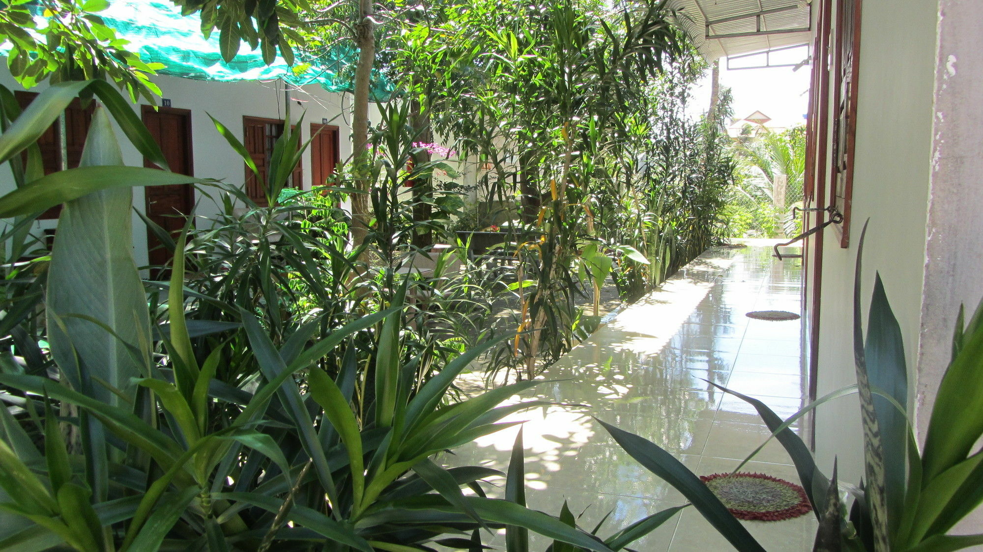 Duc Thao Guest House Μούι Νε Εξωτερικό φωτογραφία