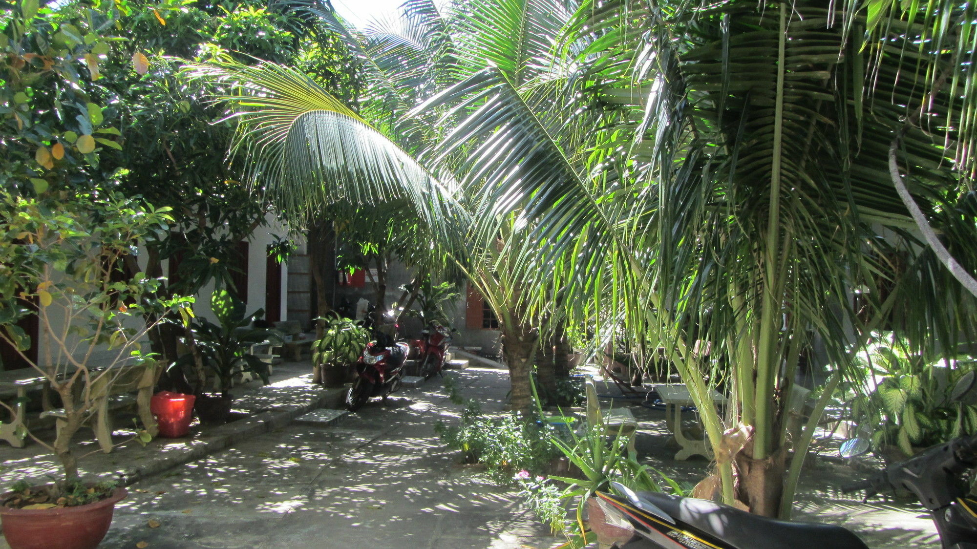 Duc Thao Guest House Μούι Νε Εξωτερικό φωτογραφία